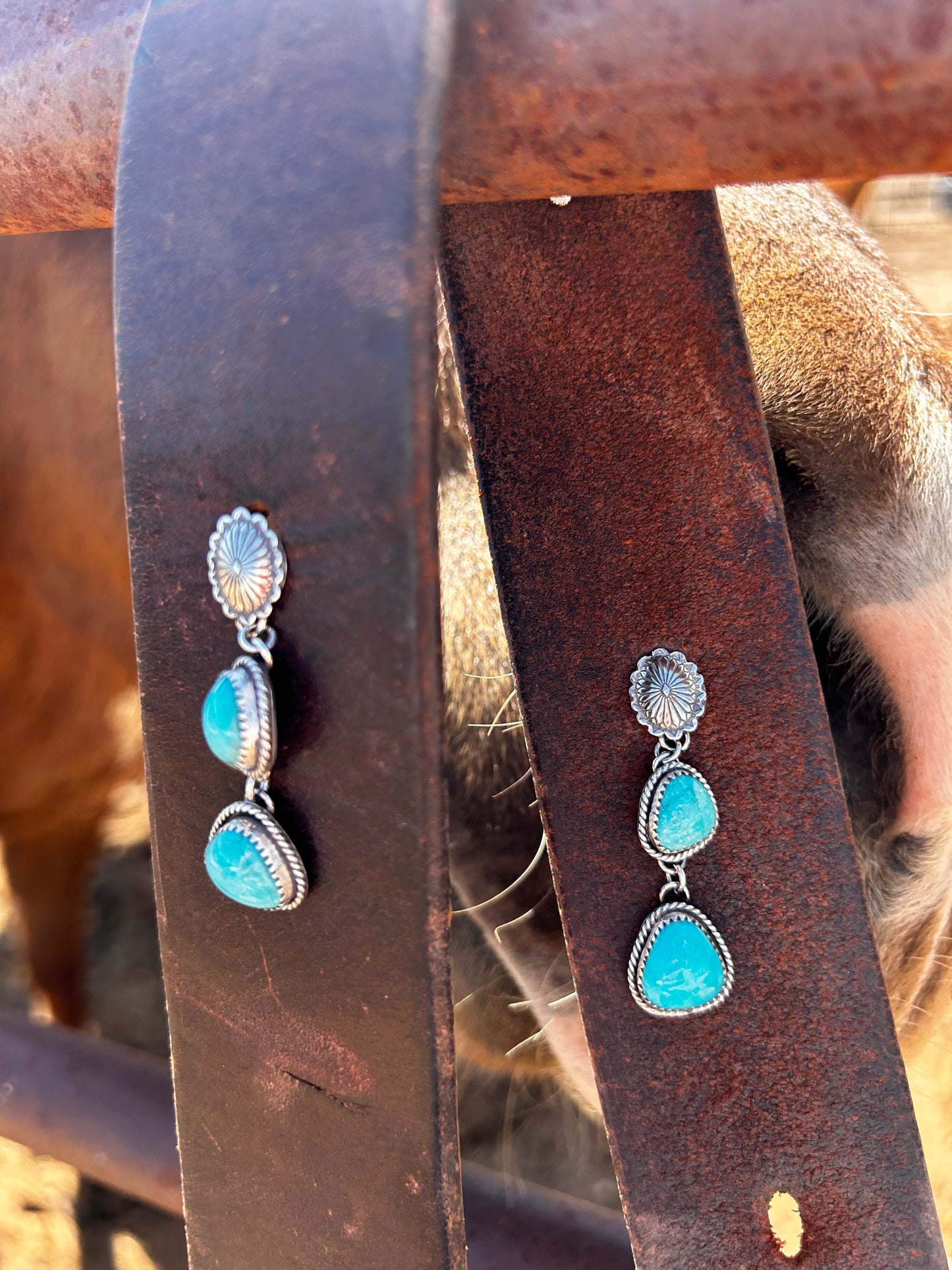 Turquoise Trail
